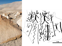 ancient-artists-high-on-hallucinogens-carved-dancer-rock-art-in-peru,-study-suggests