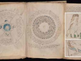 a-sexy-part-of-the-voynich-manuscript-is-deciphered
