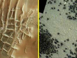 hundreds-of-black-‘spiders’-spotted-in-mysterious-‘inca-city’-on-mars-in-new-satellite-photos
